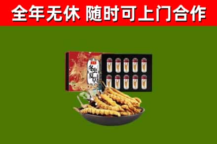 宜阳县回收冬虫夏草价格
